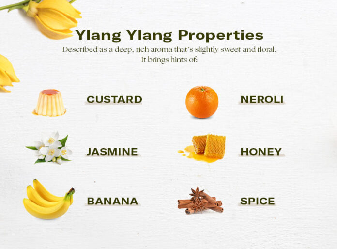 What Does Ylang Ylang Smell Like