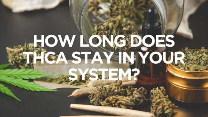 How Long Does Thca Stay in Your System