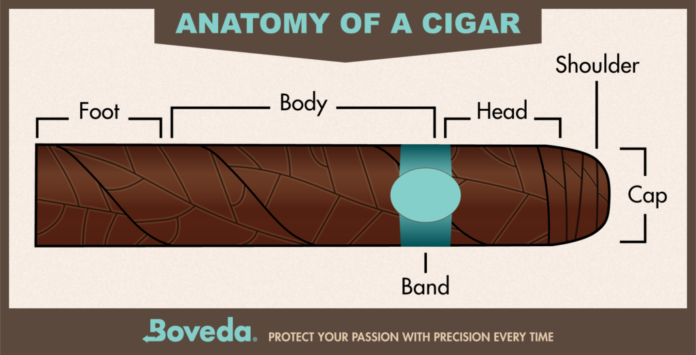 How to Cut a Cigar